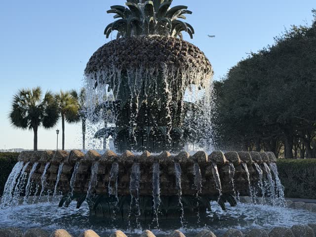 Pineapple fountain