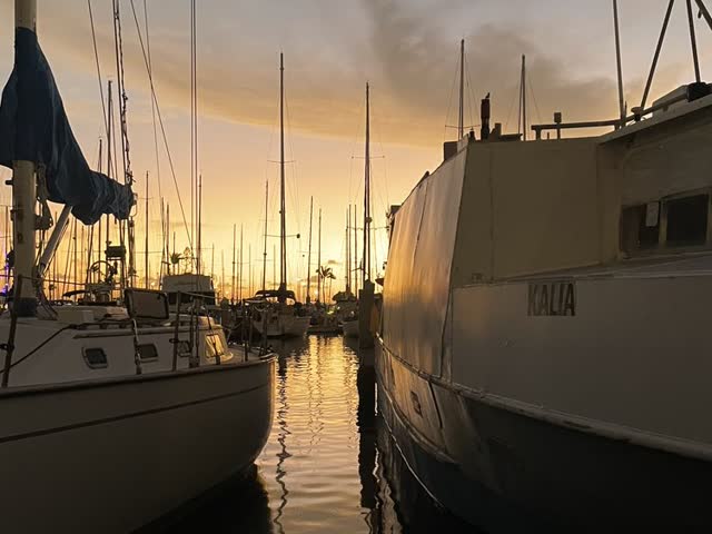 Boats at golden hour