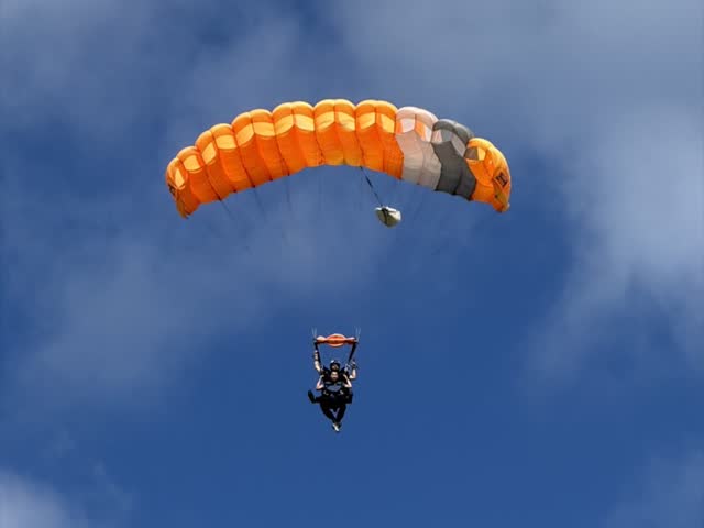 Orange canopy