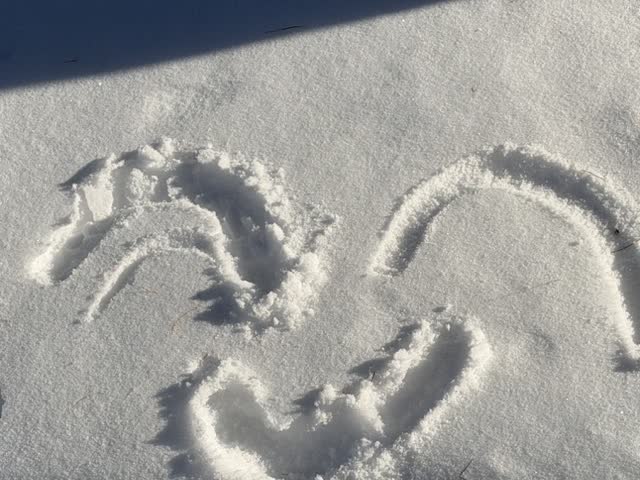 A smile in the snow